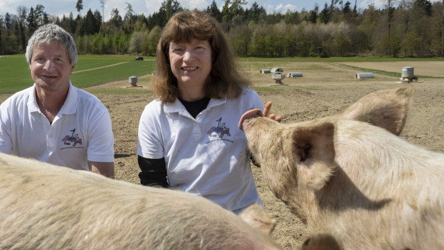 Innovativ: Alfred und Nadja Vogt mit ihren Freilandschweinen