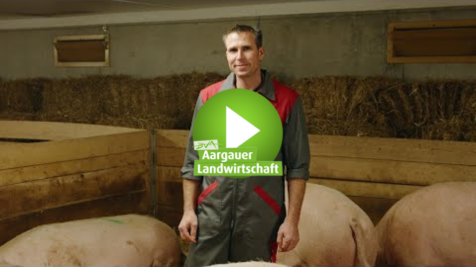 Embedded thumbnail for Schweinezucht: hohe Standards, strenge Kontrollen