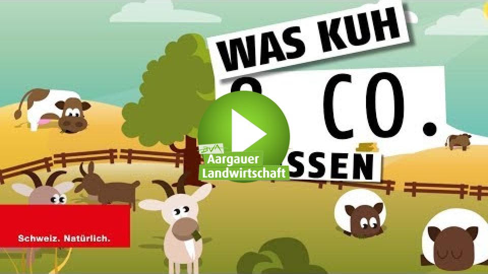 Embedded thumbnail for Das fressen Kuh und Co.