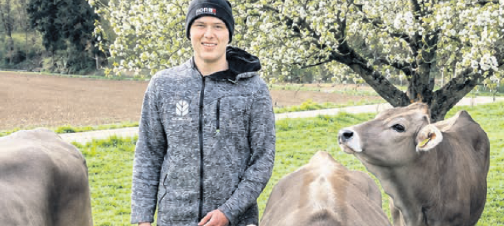 titelbild